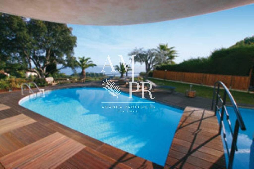 Overig - Cannes -  