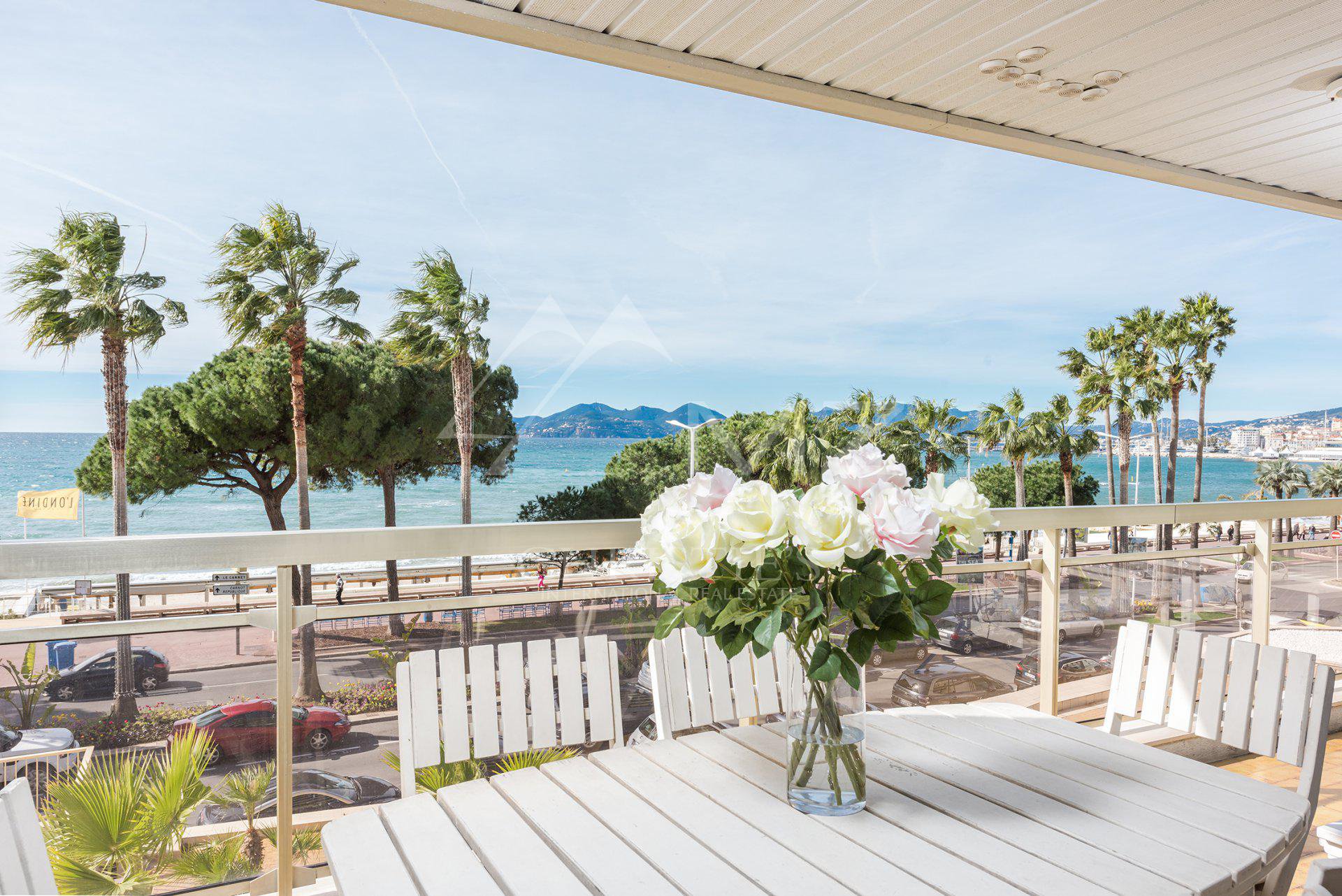 Overig - Cannes -  