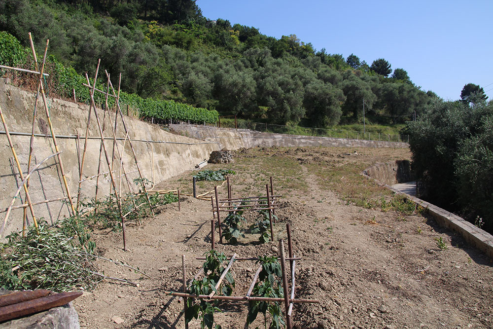 Overig - Soldano -  