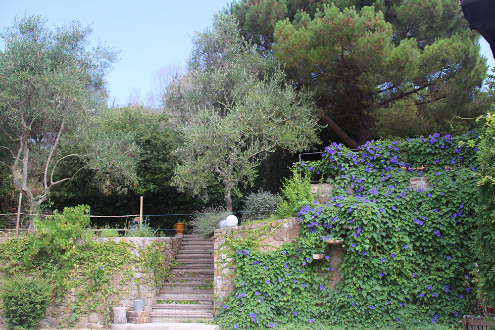 Overig - Dolceacqua -  