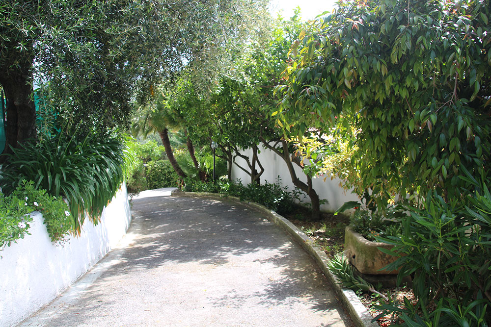 Overig - Camporosso -  