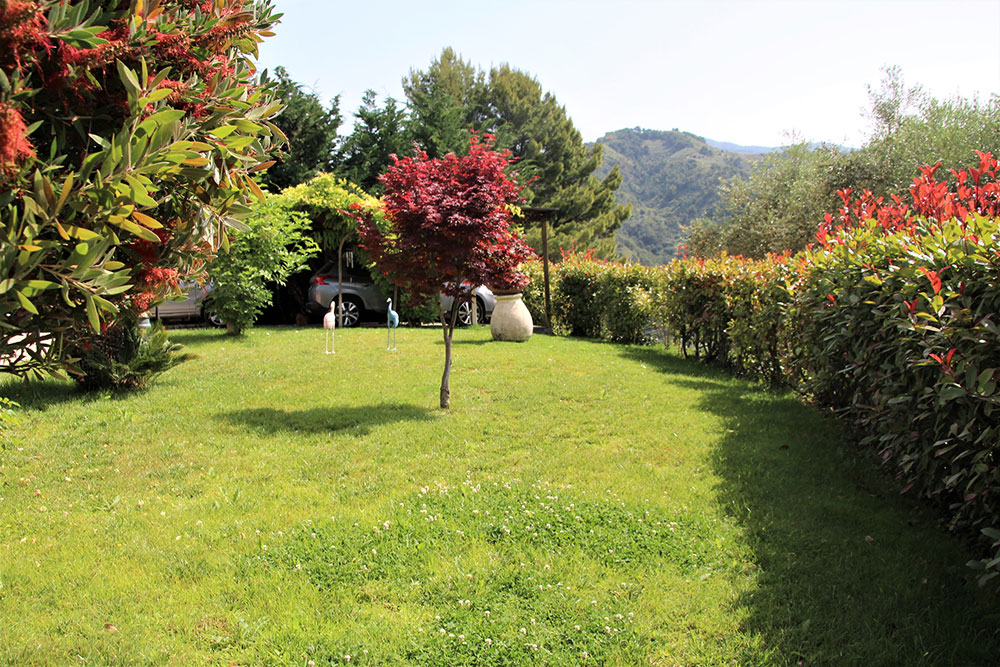 Overig - Camporosso -  