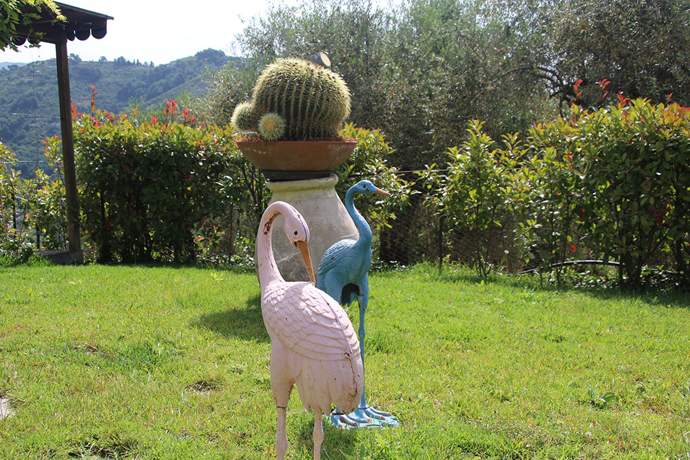 Overig - Camporosso -  