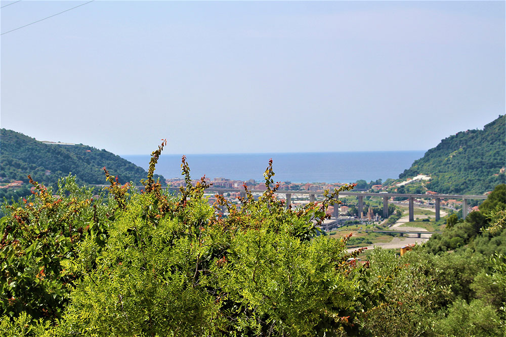 Overig - Camporosso -  