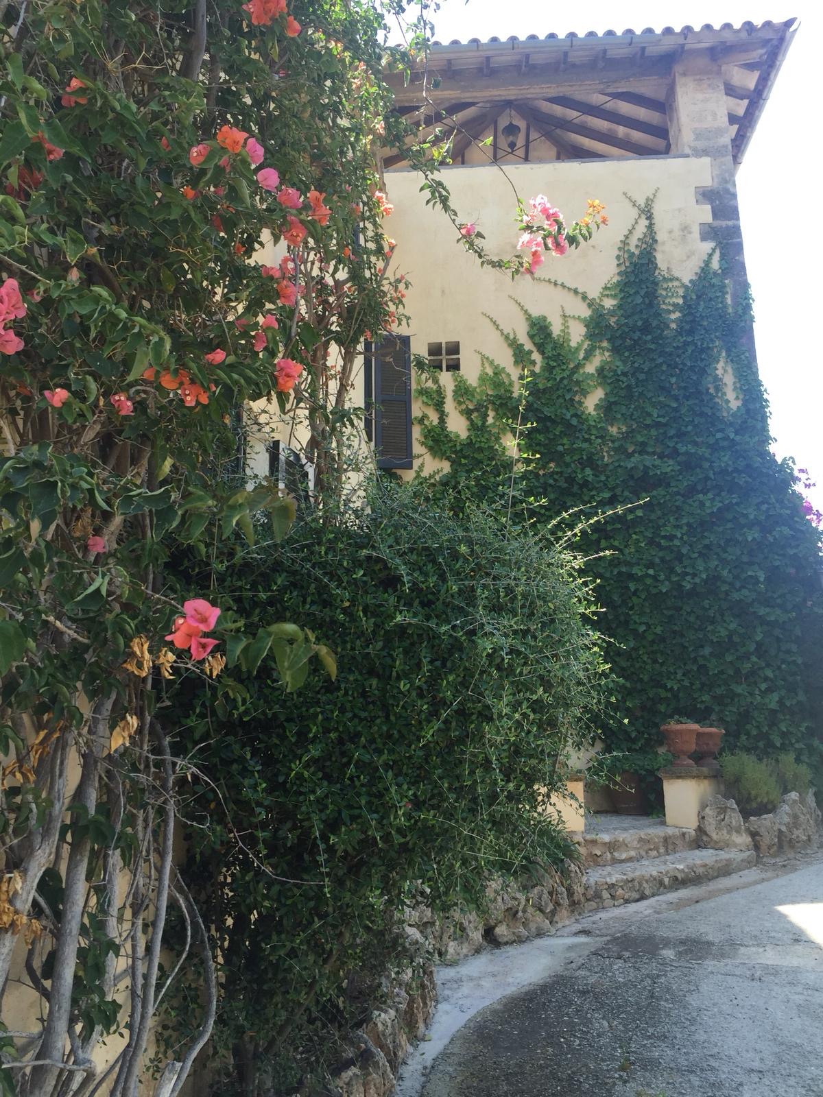 Overig - Genova - San Agustin -  