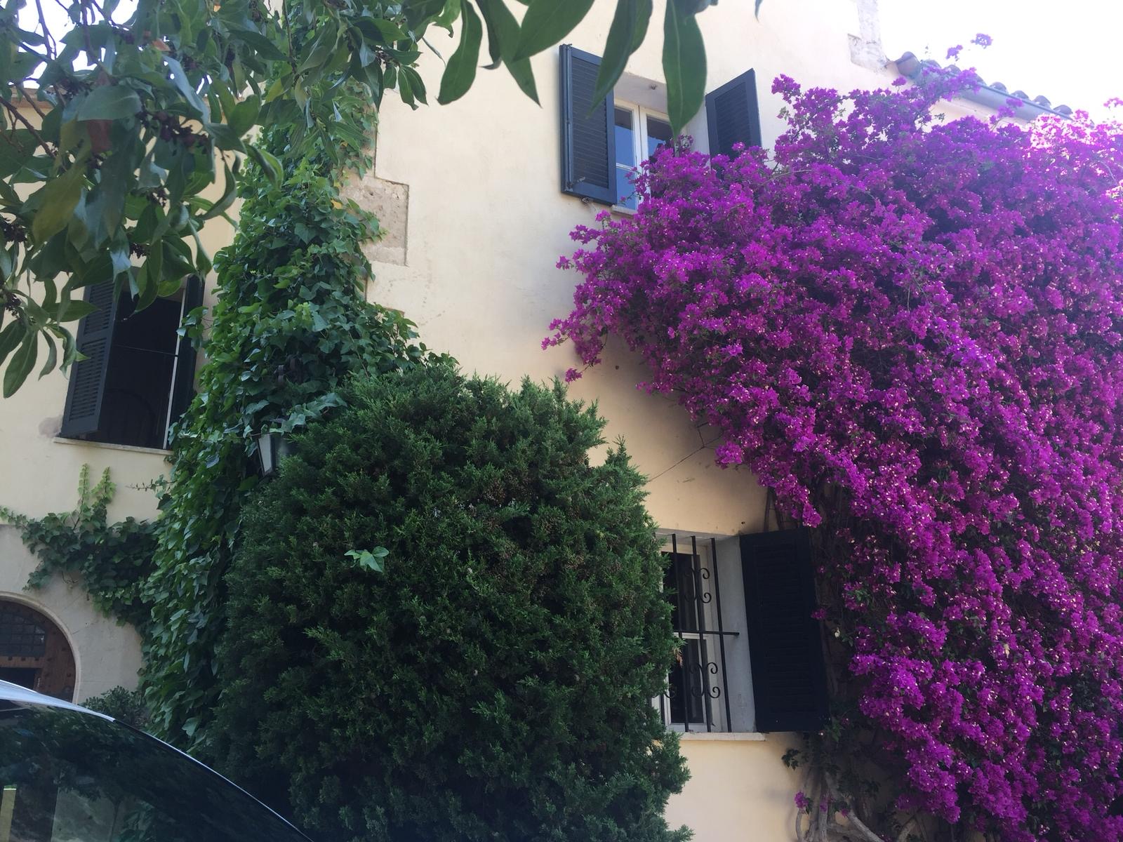 Overig - Genova - San Agustin -  