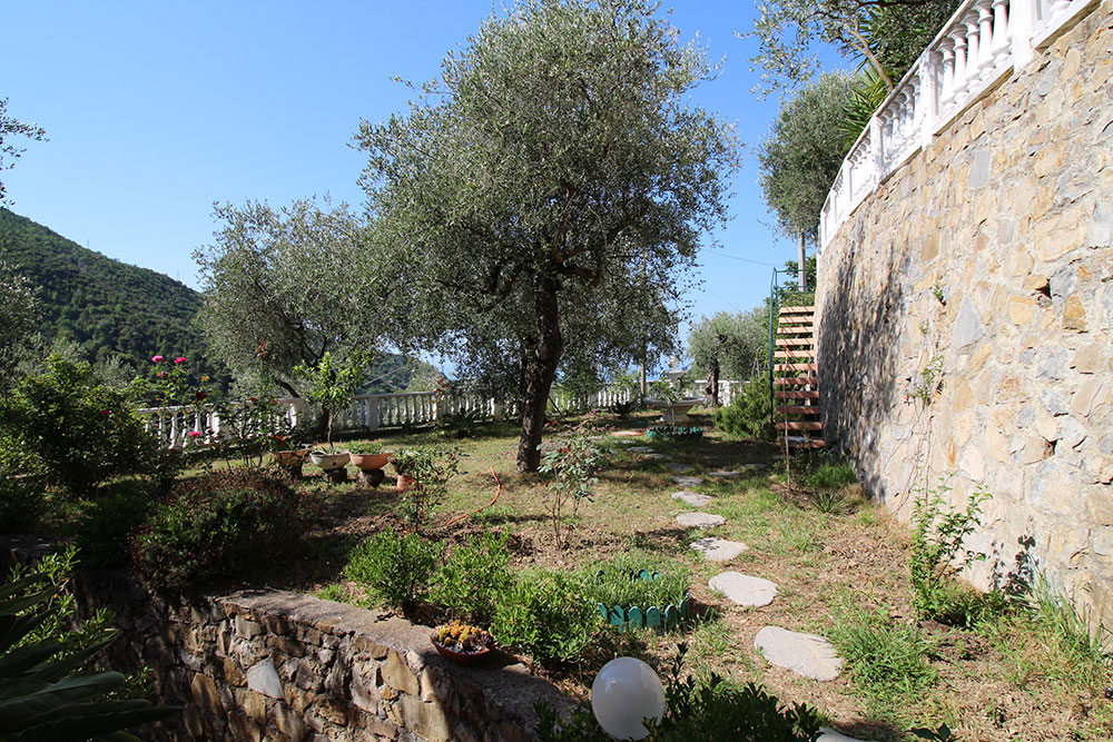 Overig - Vallebona -  