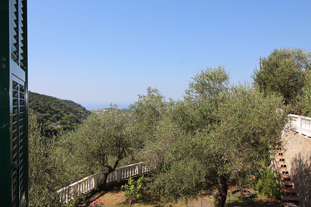 Overig - Vallebona -  