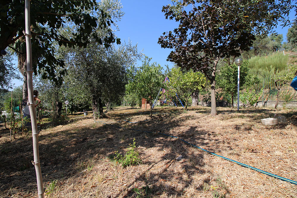 Overig - Vallebona -  