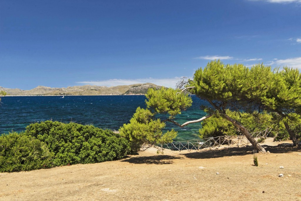 Overig - Alcúdia -  