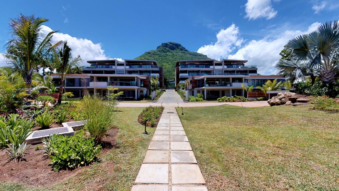 Overig - Tamarin -  