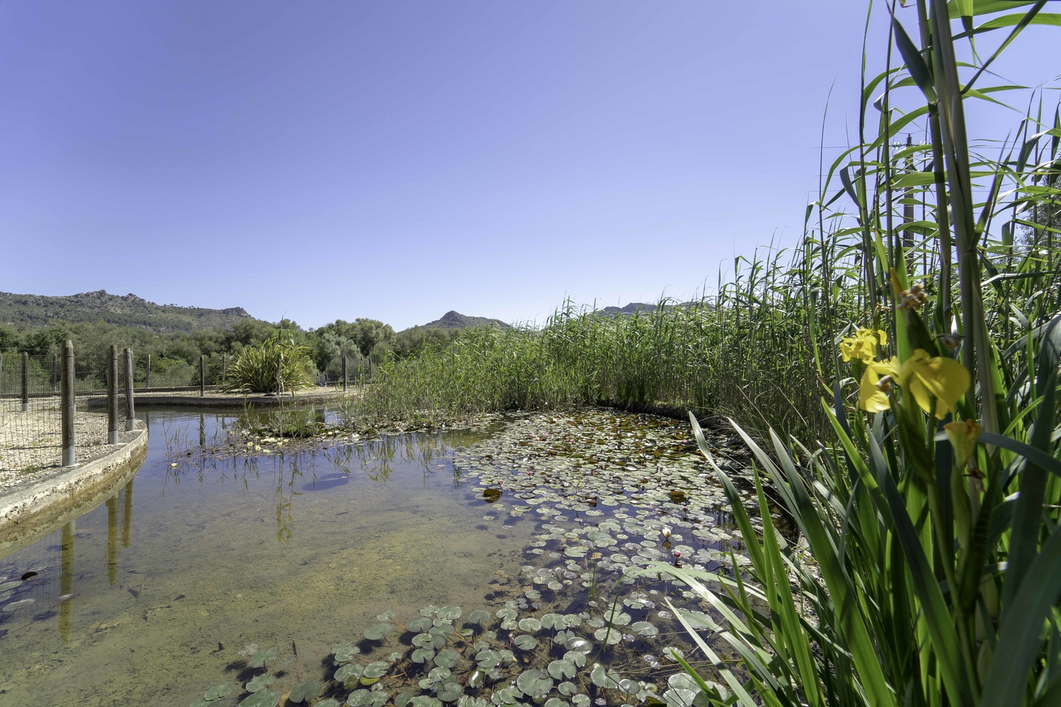 Overig - Arta Countryside -  