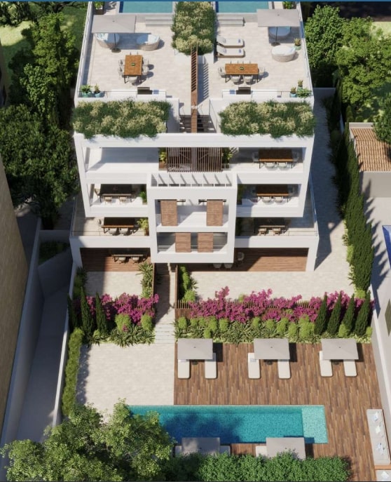 Overig - Paseo Maritimo - Santa Catalina -  