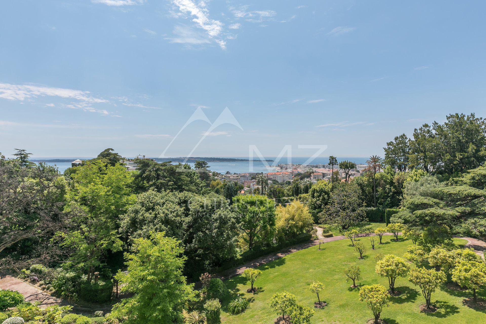 Overig - Cannes -  