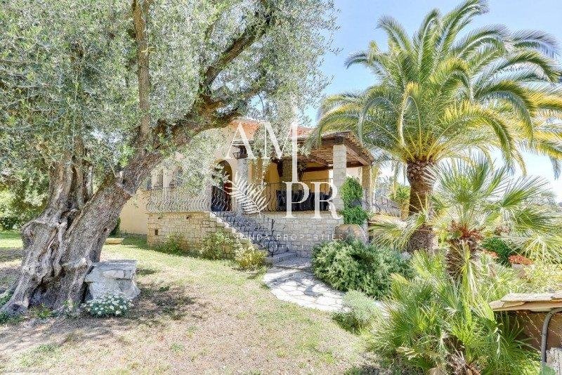 Overig - Cannes -  
