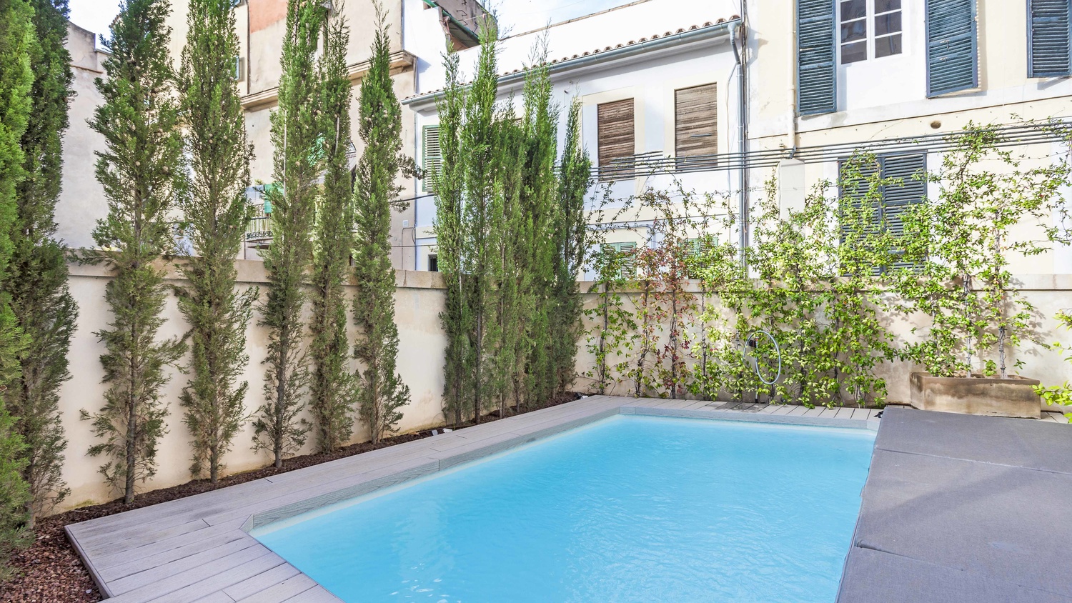 Overig - Palma -  