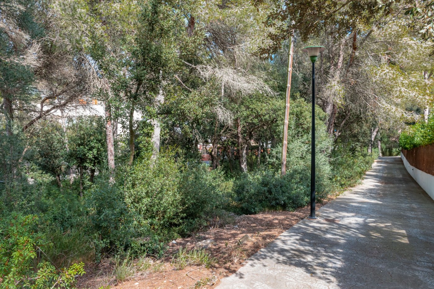 Overig - Capdepera -  