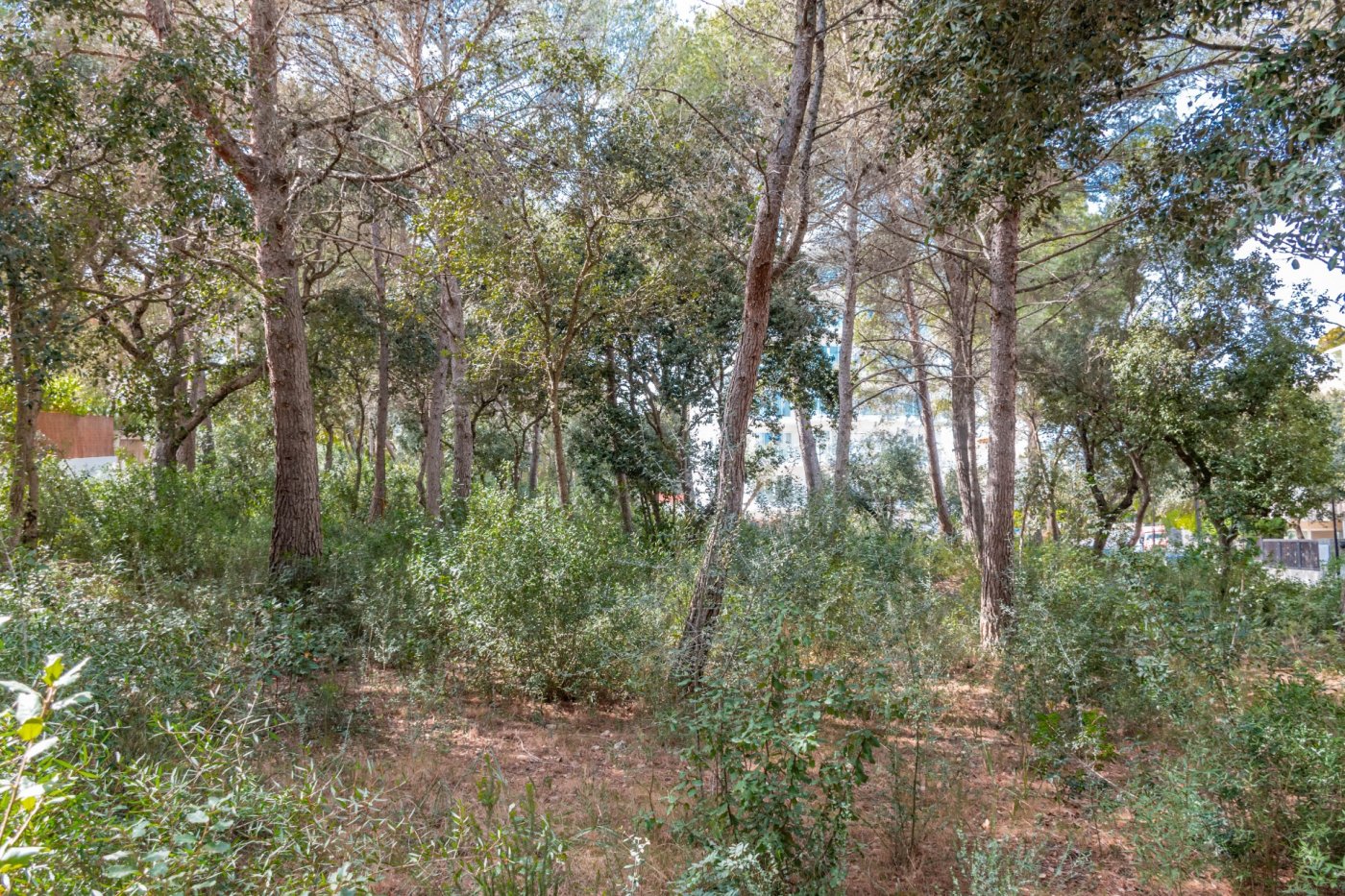 Overig - Capdepera -  