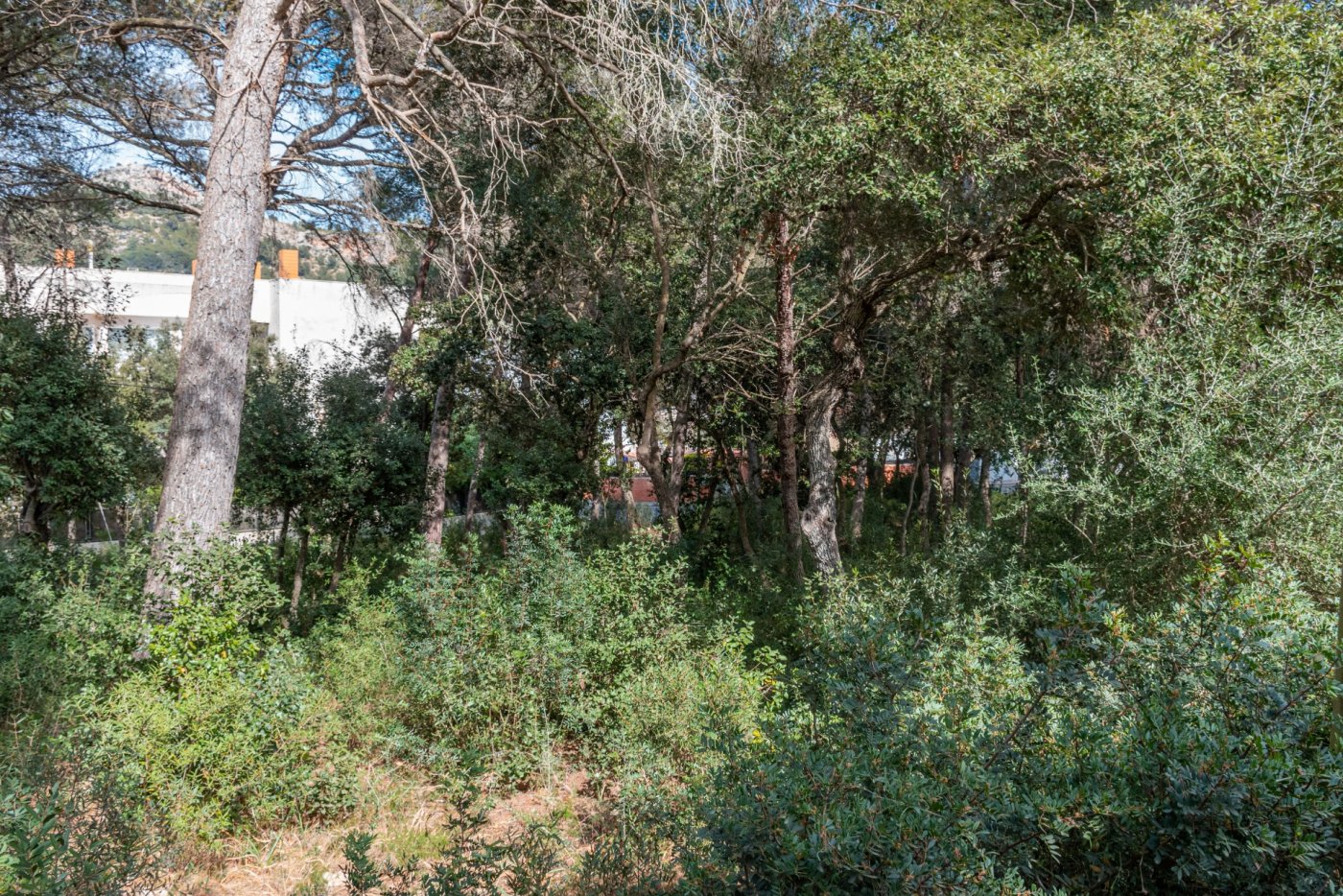 Overig - Capdepera -  