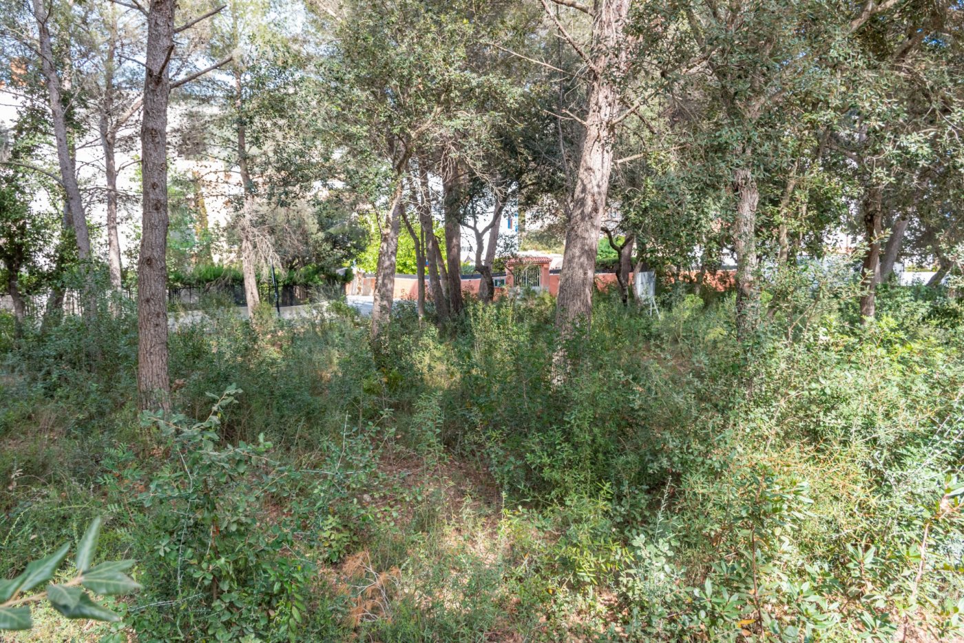 Overig - Capdepera -  
