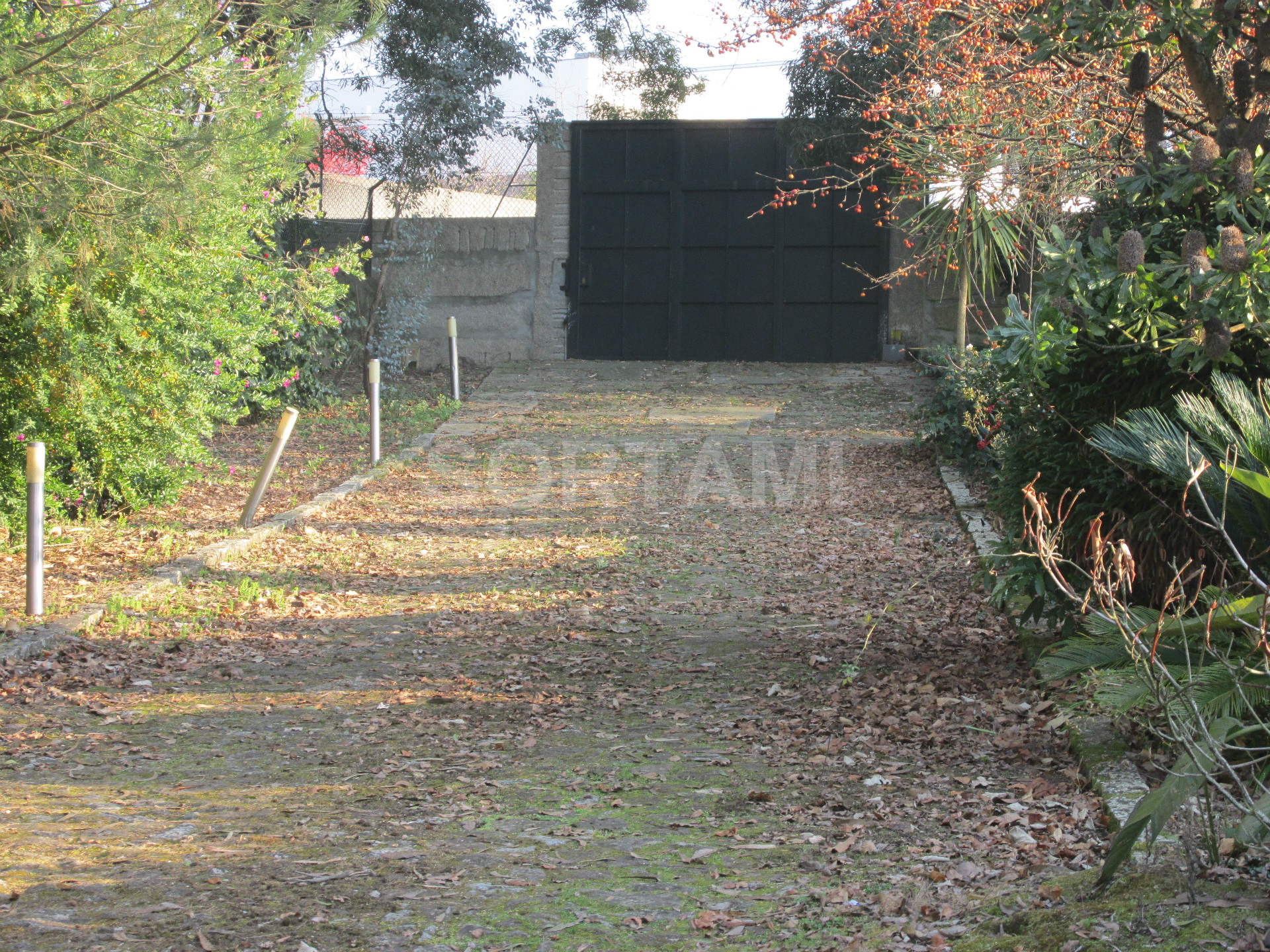 Overig - Muro -  