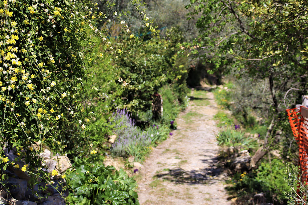 Overig - Andora -  