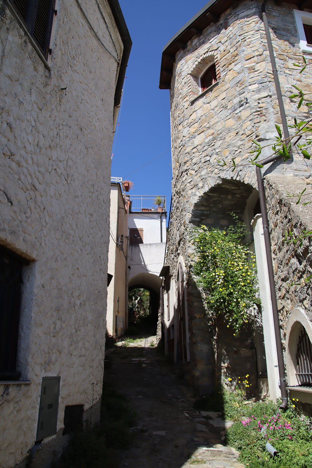 Overig - Andora -  