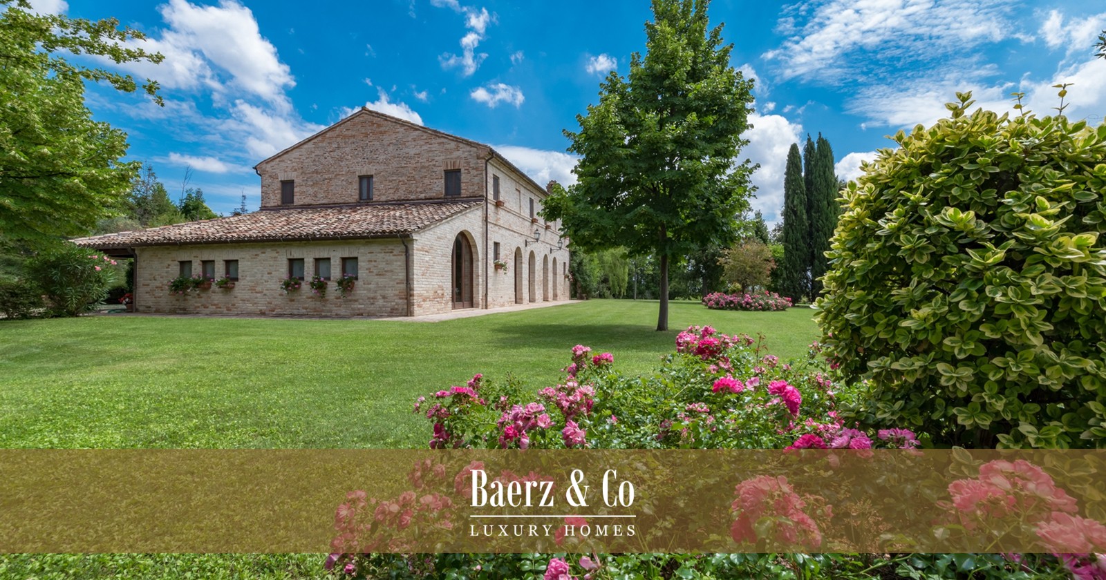 Overig - Corridonia -  