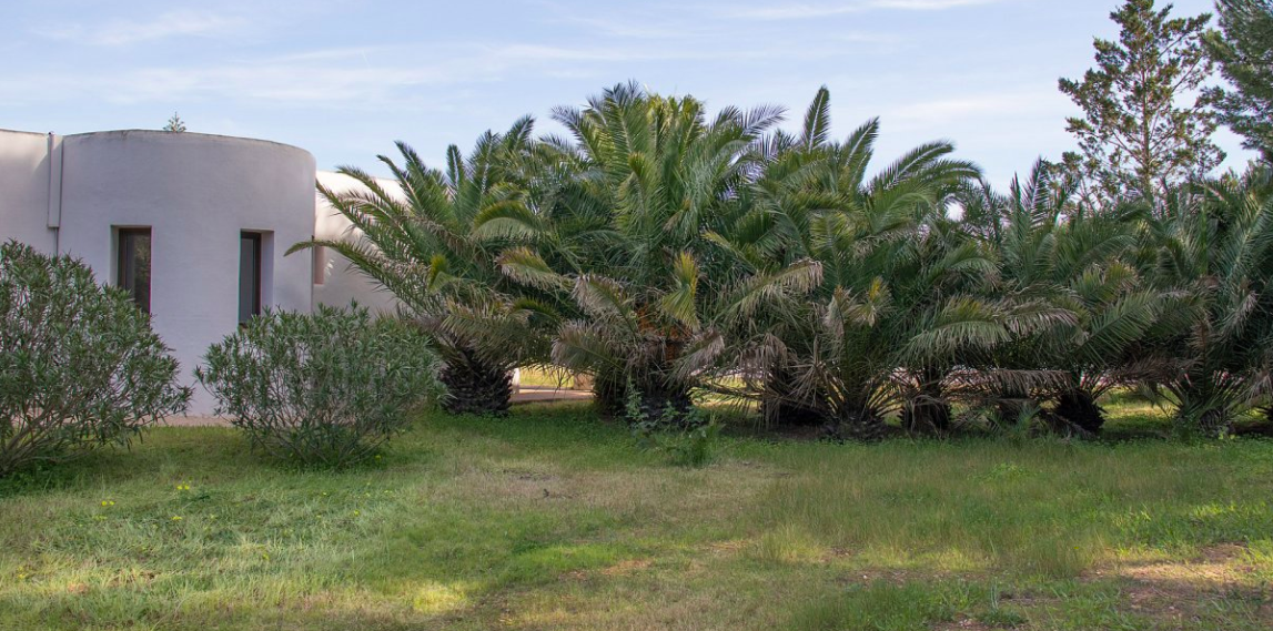 Overig - Sa Caleta -  