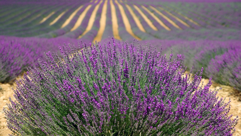 Overig - Mougins -  