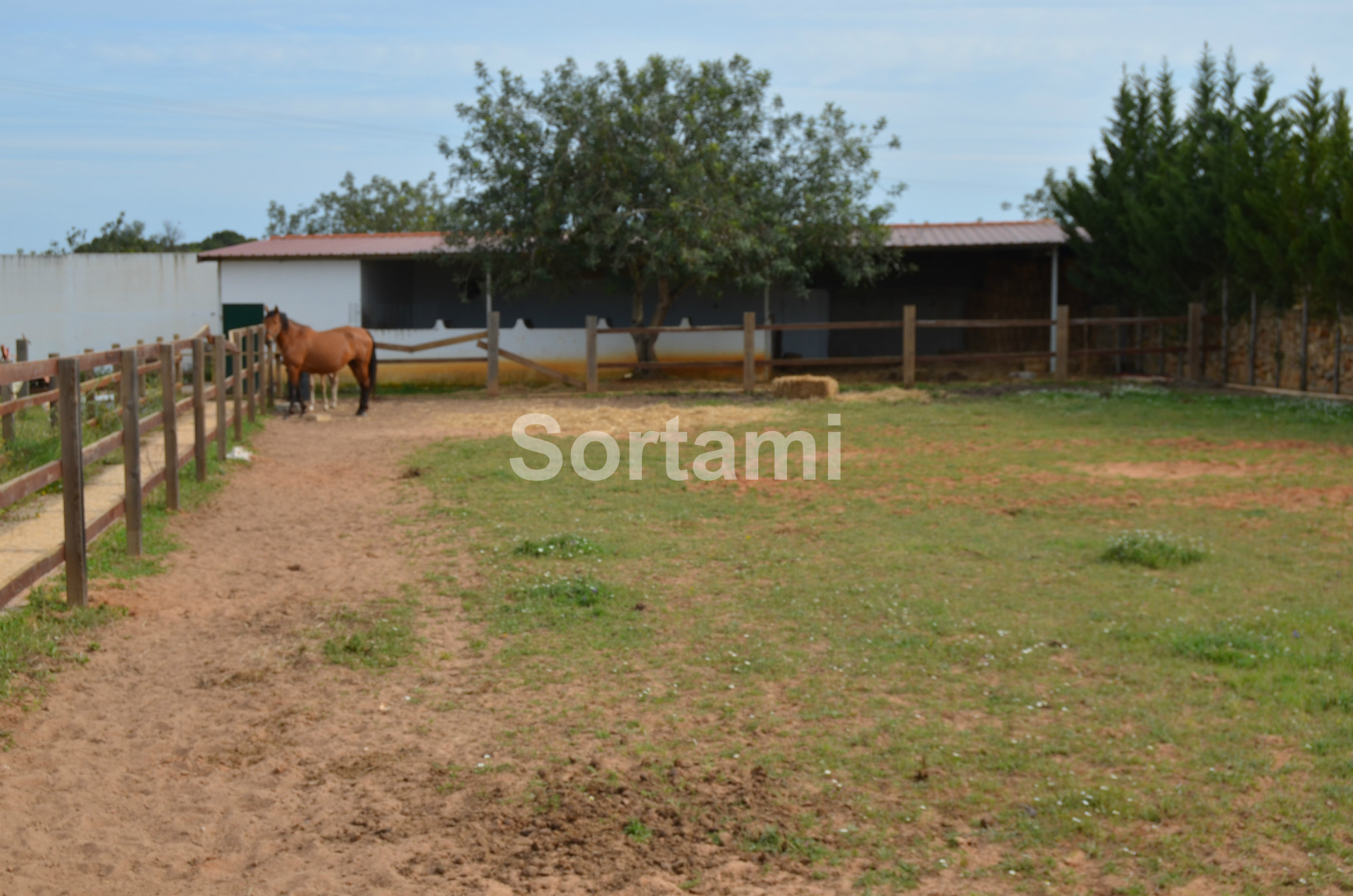 Overig - Paderne -  
