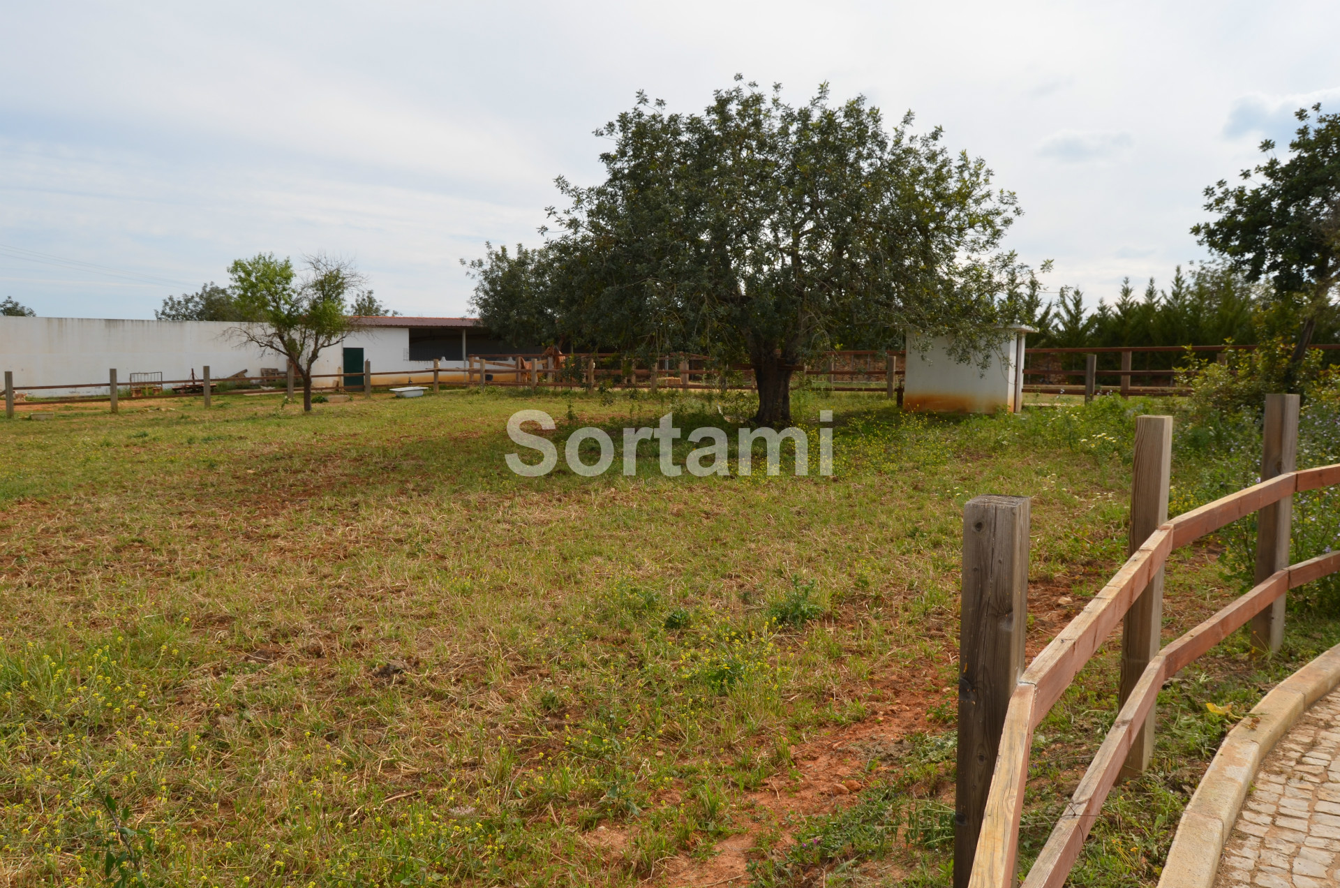 Overig - Paderne -  
