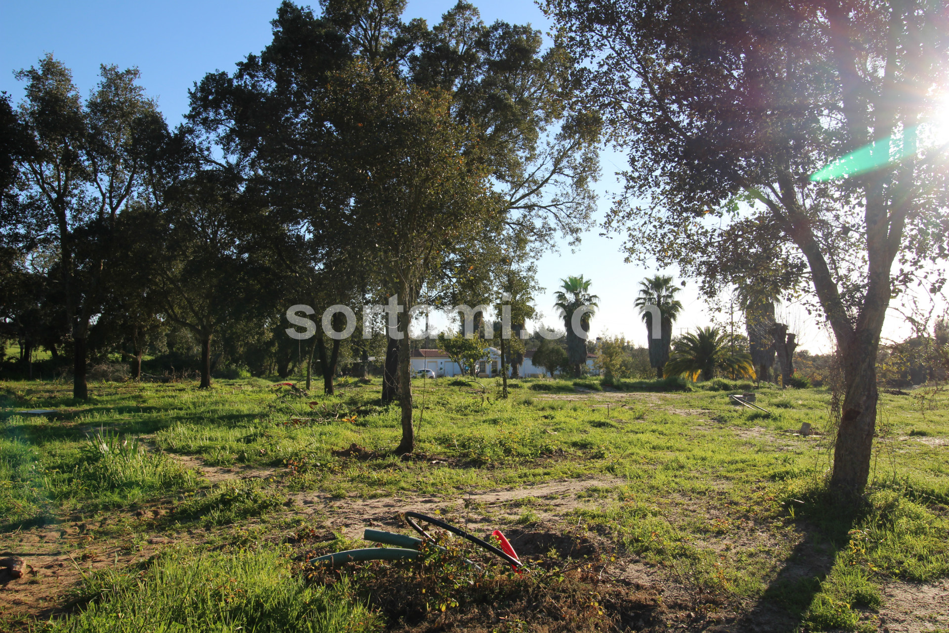 Overig - Santiago do Cacém, Santa Cruz e São Bartolomeu da Serra -  