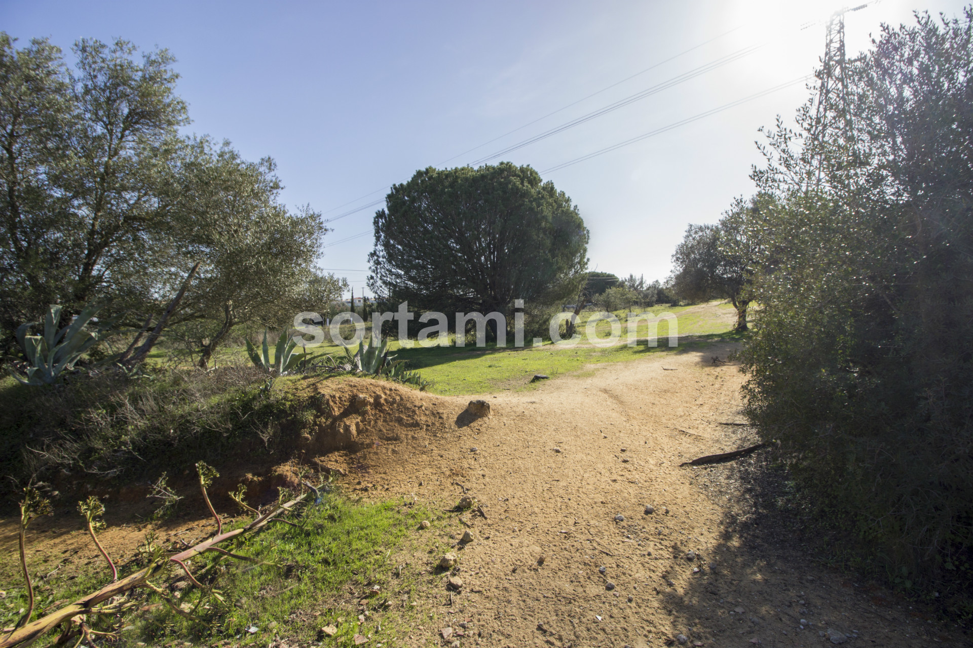Overig - Albufeira e Olhos de Água -  