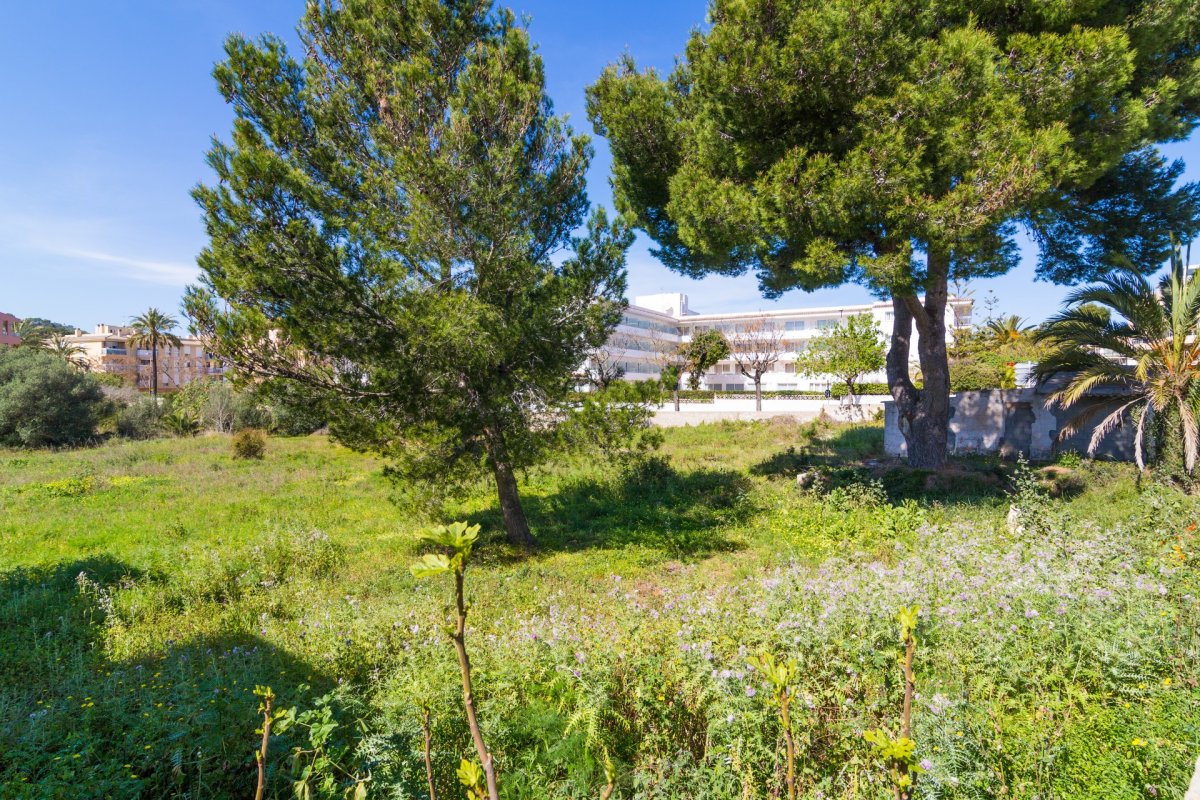 Overig - Capdepera -  