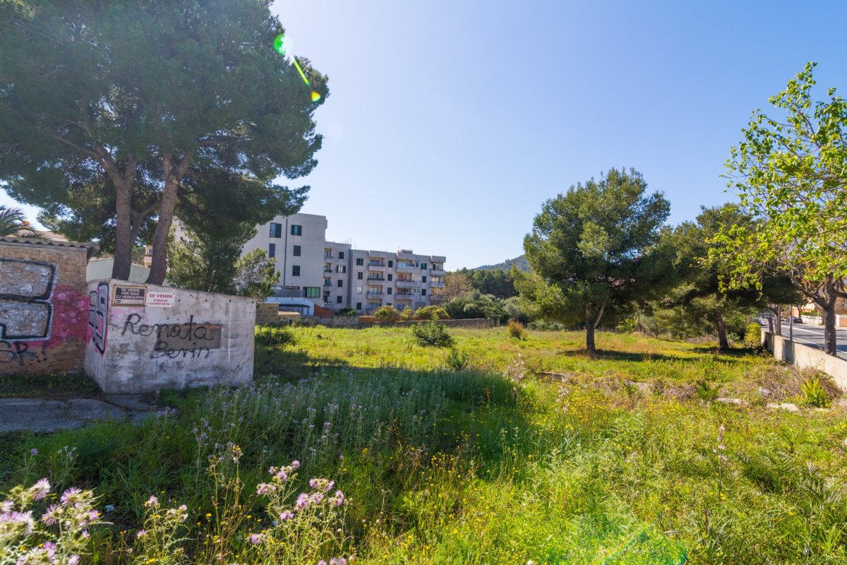 Overig - Capdepera -  