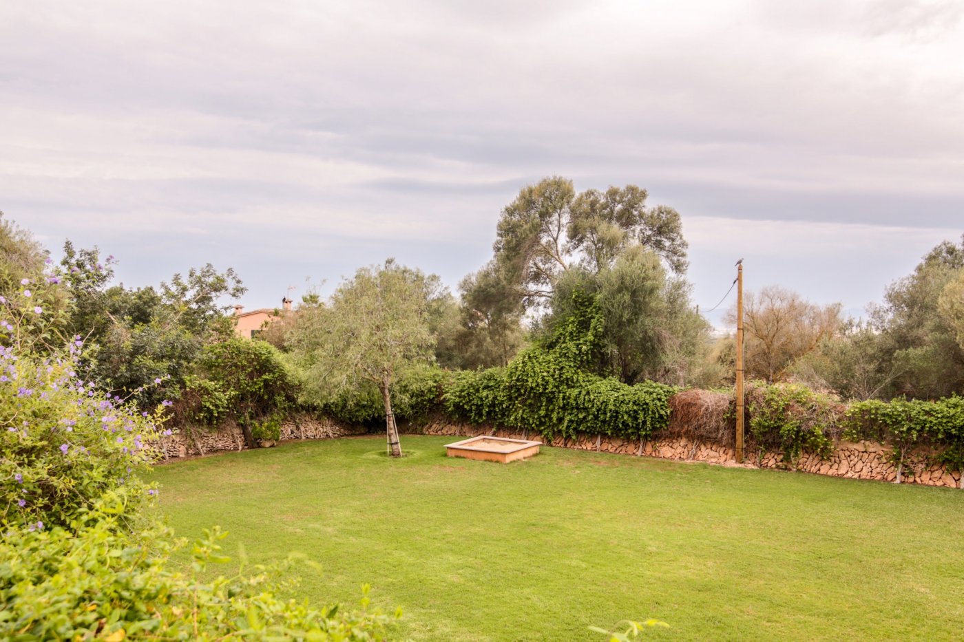 Overig - Palma de Mallorca -  