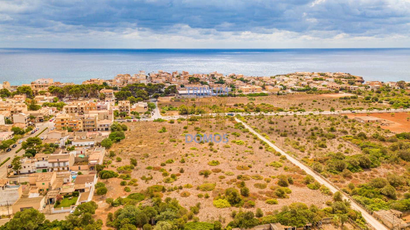 Overig - Manacor -  