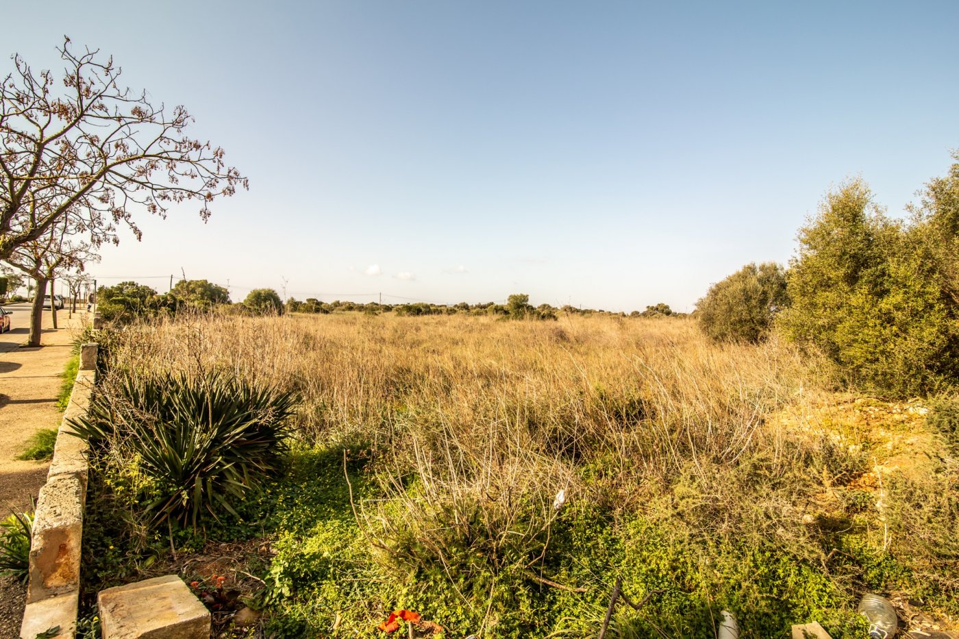 Overig - Manacor -  