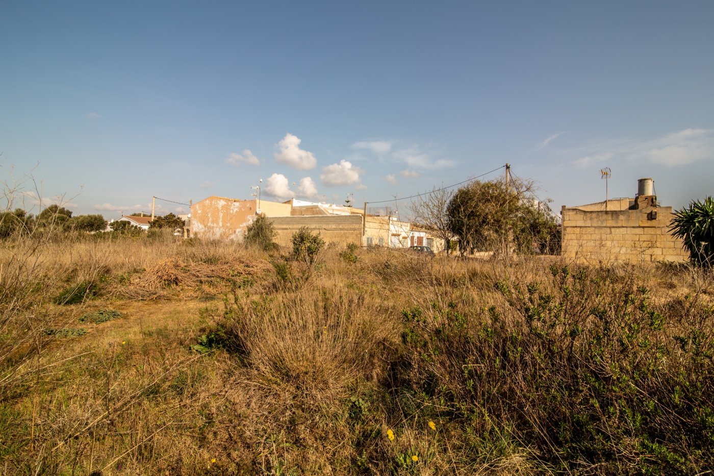 Overig - Manacor -  