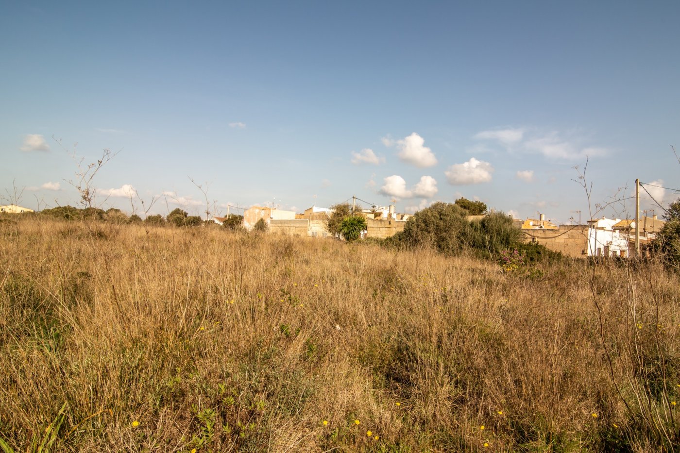 Overig - Manacor -  