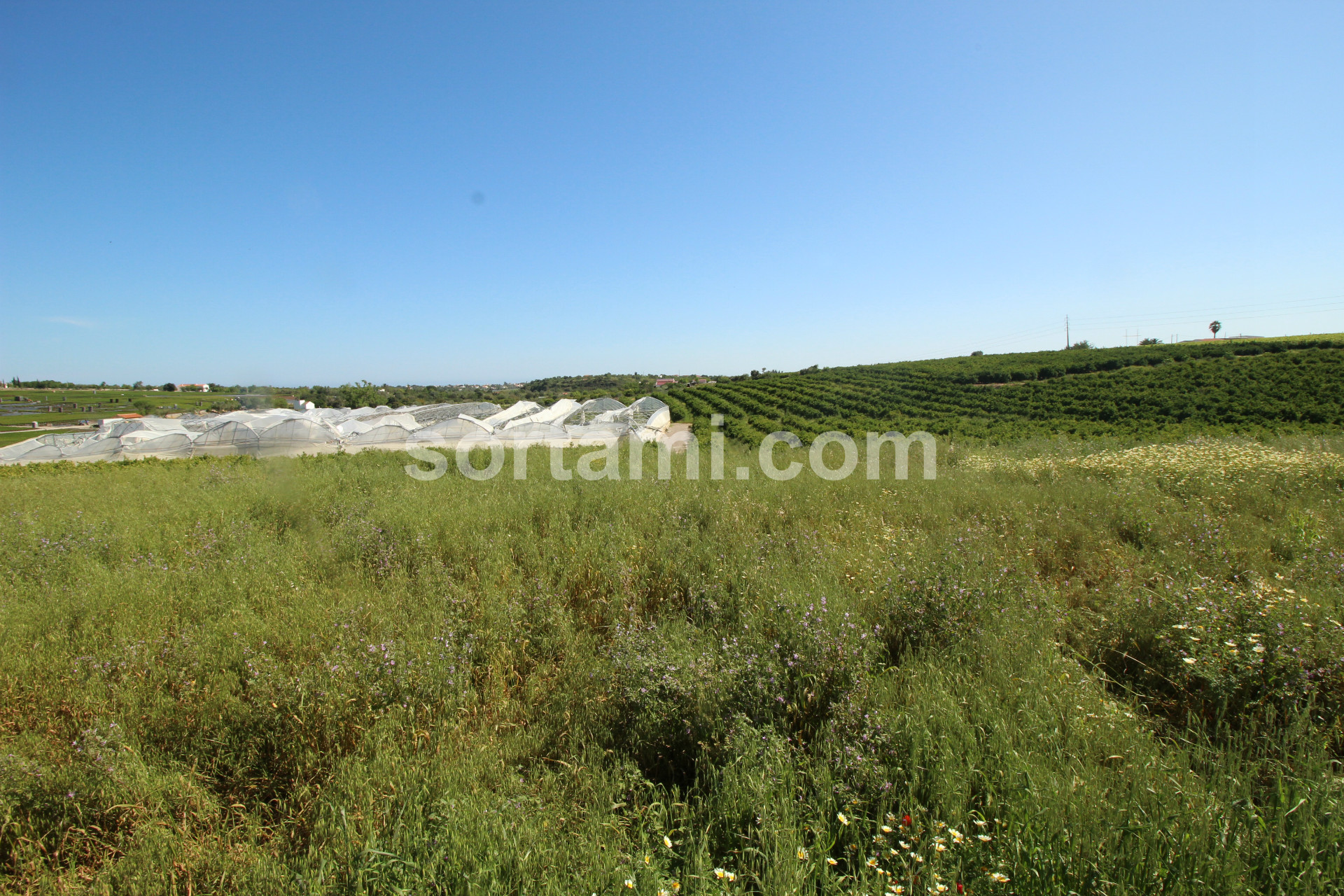 Overig - Quelfes -  