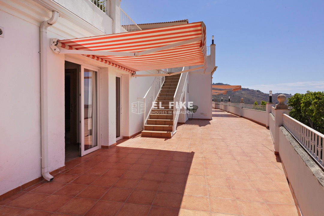 Overig - Arenas -  
