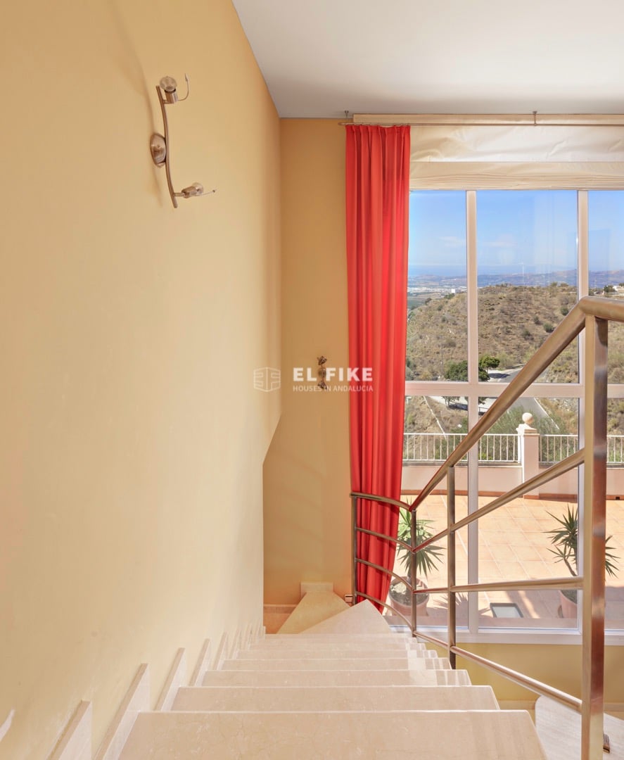 Overig - Arenas -  