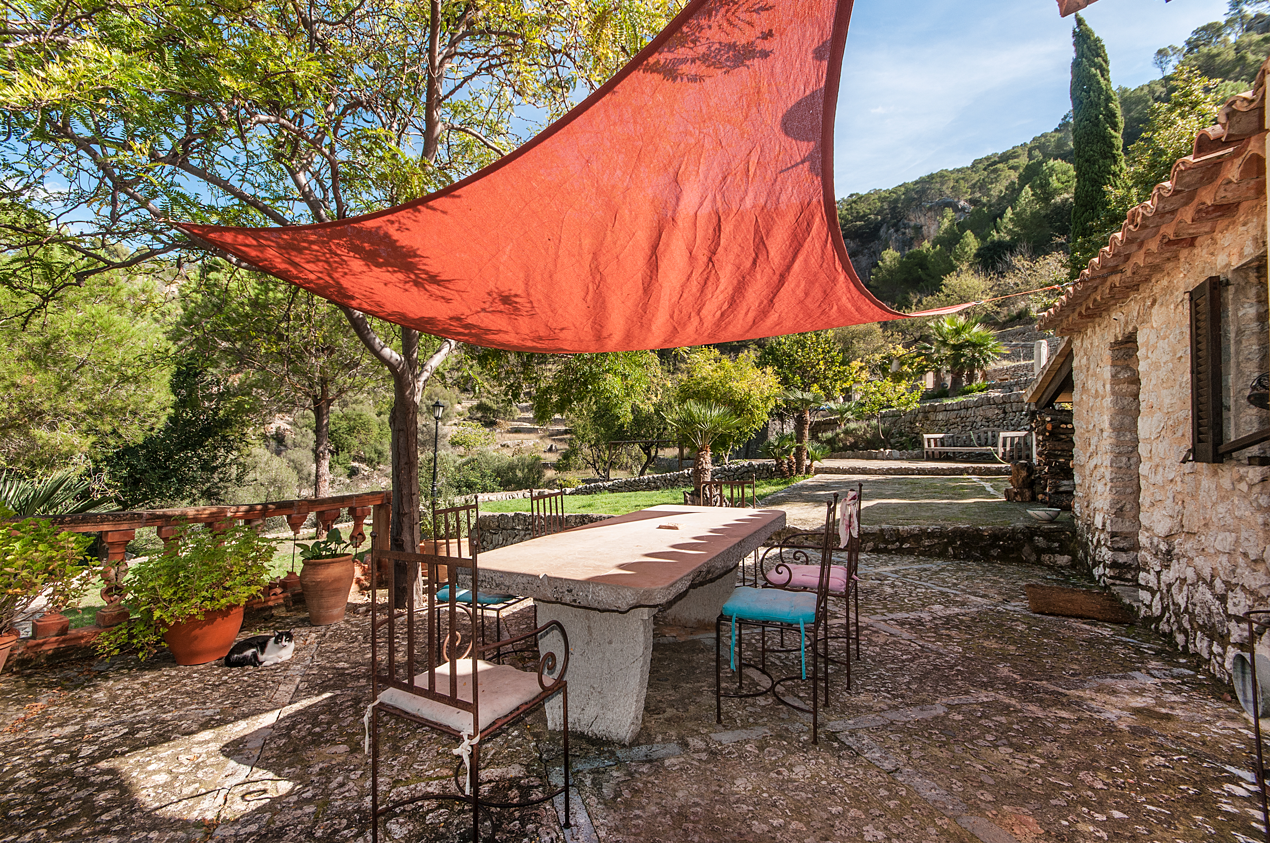 Overig - Alaro -  