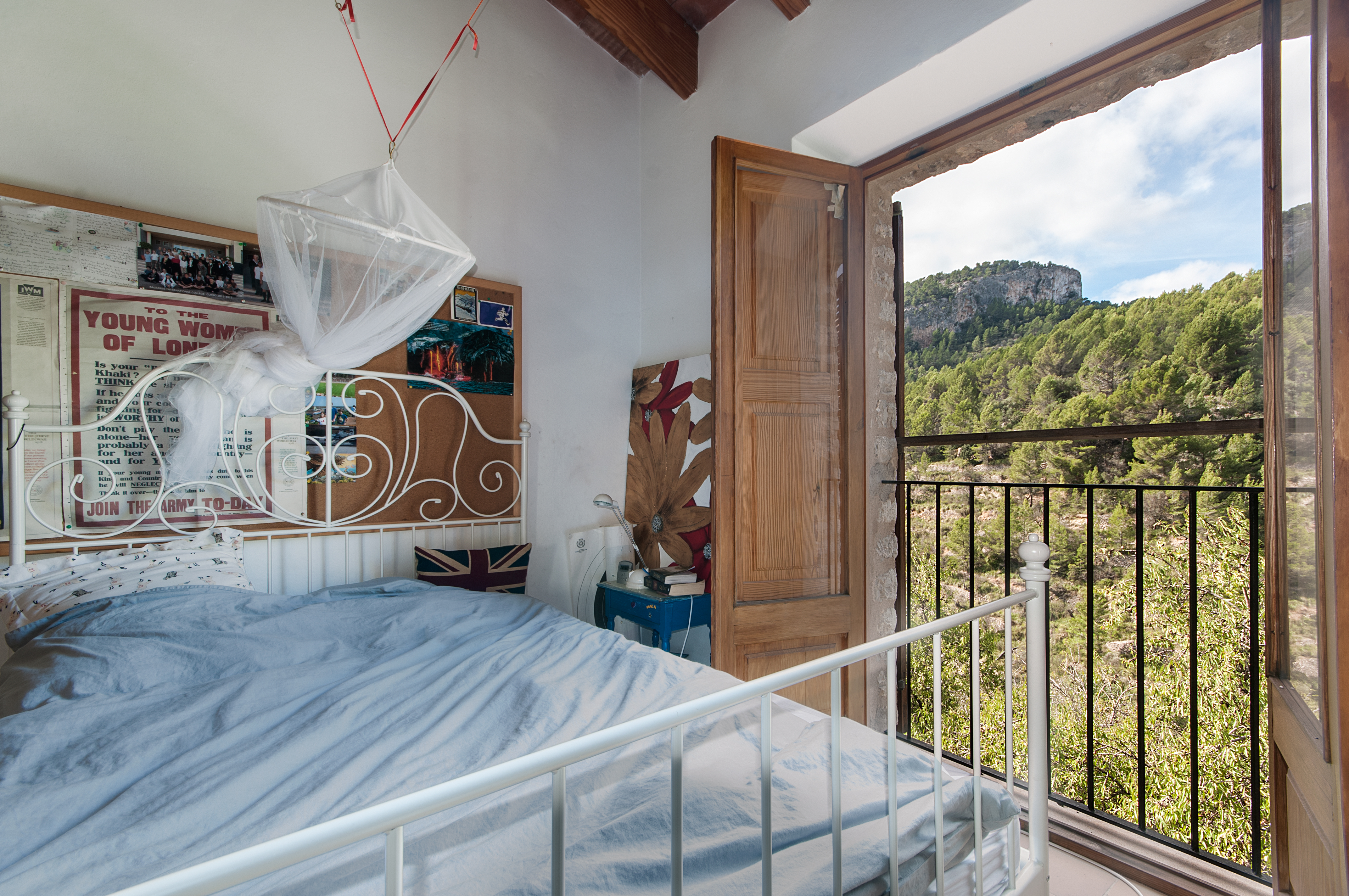 Overig - Alaro -  