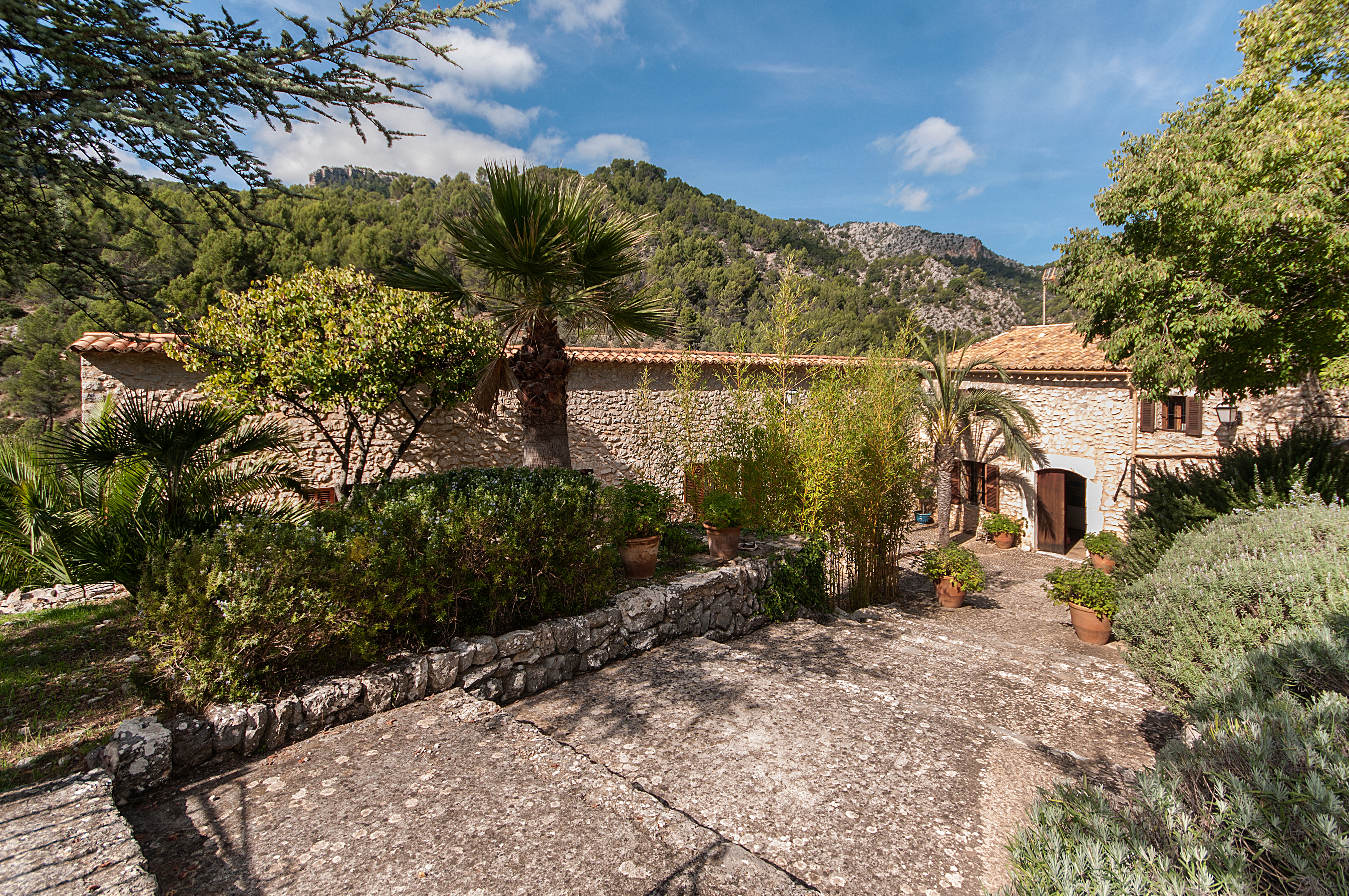 Overig - Alaro -  