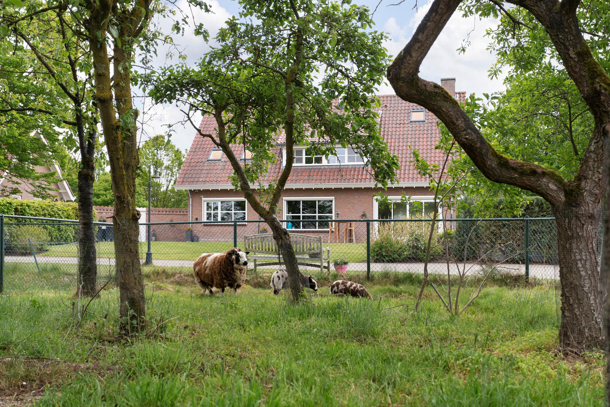 Overig - MAARHEEZE - Klaterspeelweg 1