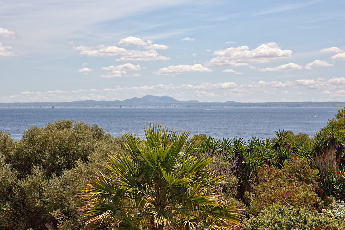 Overig - Calvià / Sol de Mallorca -  