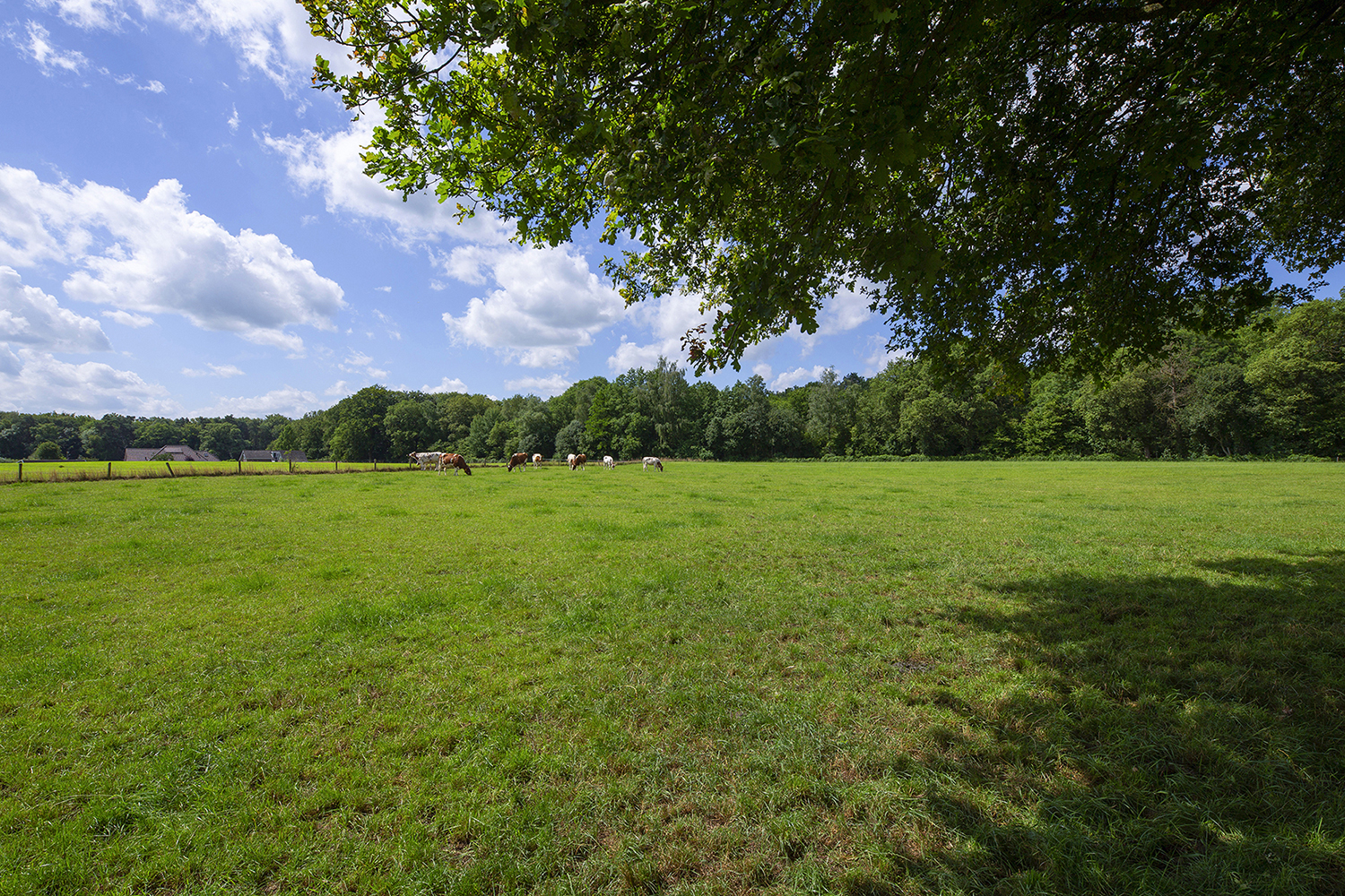 Overig - BEUNINGEN - Lutterzandweg 34